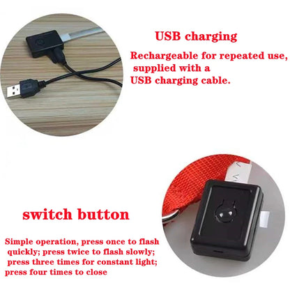 Usb Charging Glowing Dog Collar With Pendant Detachable Luxury Led Light Bright For Small Dogs Cat Night Safety Collar Wholesale Beauty World Shop