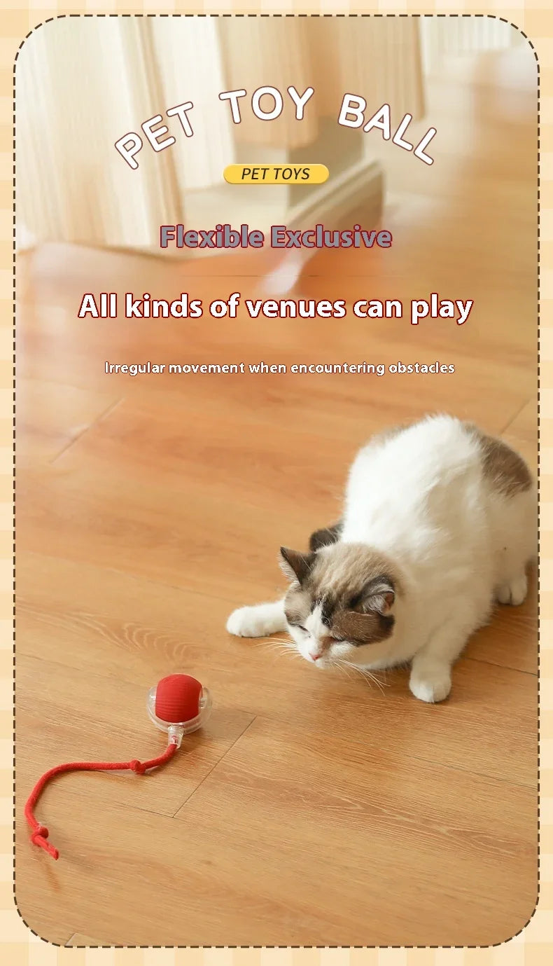 1~2Pcs Cat Interactive Ball Toys Automatic Rolling Ball Faux Tail Rechargeable Smart Pet Electric Toy Cat Training Imitate Mouse