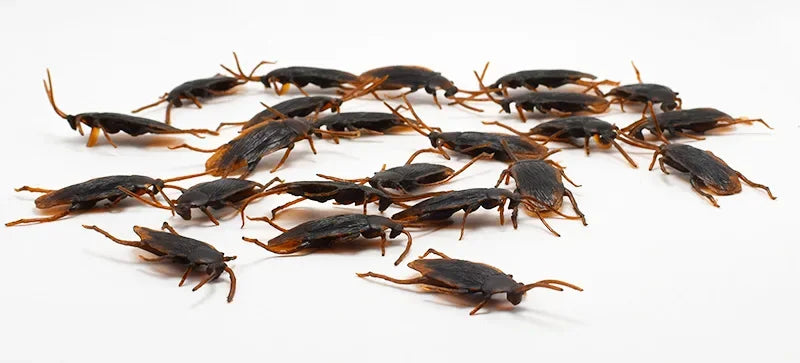 Special Lifelike Model Simulation Fake Rubber Cock Cockroach Roach Bug Roaches Toy Prank Funny Trick Joke Toys April Fools Prank Beauty World Shop