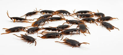 Special Lifelike Model Simulation Fake Rubber Cock Cockroach Roach Bug Roaches Toy Prank Funny Trick Joke Toys April Fools Prank Beauty World Shop
