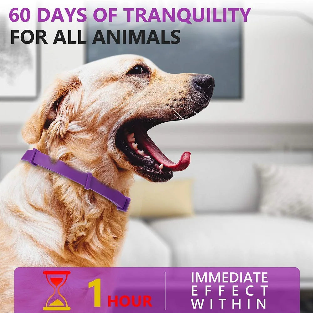 Pet Calming Collar For Cats Dogs Adjustable Anxiety Pheromone Reducing Pet Collar Lasting Natural Calm Relax Soothing Collars Beauty World Shop