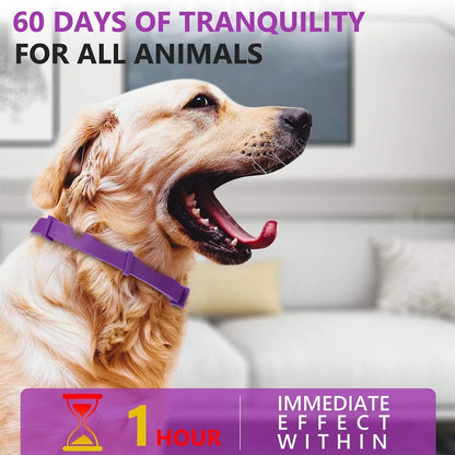 Pet Calming Collar For Cats Dogs Adjustable Anxiety Pheromone Reducing Pet Collar Lasting Natural Calm Relax Soothing Collars Beauty World Shop