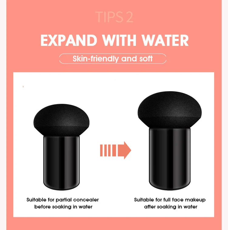 Mushroom Air Cushion plant Nourishing BB cream Concealer Moisturizing foundation fluid isolating plain cc cream Beauty Trend Shop