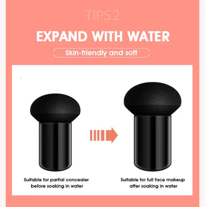 Mushroom Air Cushion plant Nourishing BB cream Concealer Moisturizing foundation fluid isolating plain cc cream Beauty Trend Shop