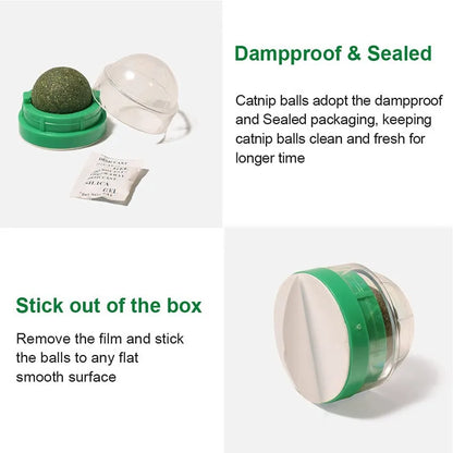 New Cat Mint Toy Rotating Cat Mint Ball Baby Cat Snacks Cat Grass Plant Hair Transformation Cat Pet Products Catnip