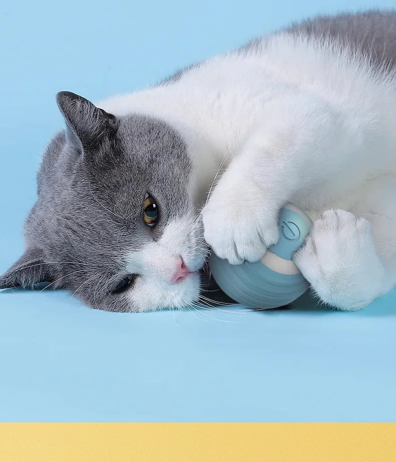 Spin Ball Things for Cats Toys Electric Interactive USB Charging Cat Ball Toy Cat and Dog Accessories Pet Cat's Supplies Home Beauty World Shop