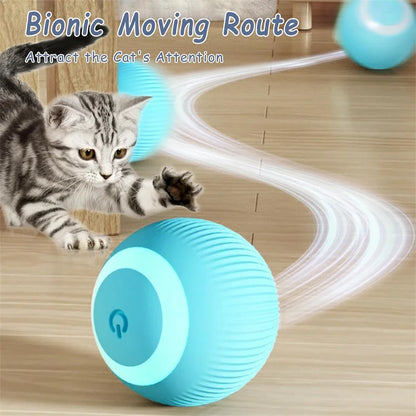 Smart Dog Toys Ball Electronic Interactive Pet Toy Moving Ball USB Automatic Moving Bouncing for Puppy Birthday gift Cat Product Beauty World Shop