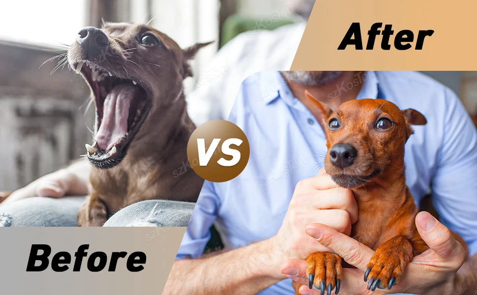 Portable Ultrasonic Dog Repeller with Strobe Light Rechargeable Bark Control Device for Training Anti-Barking & Chasing Dogs