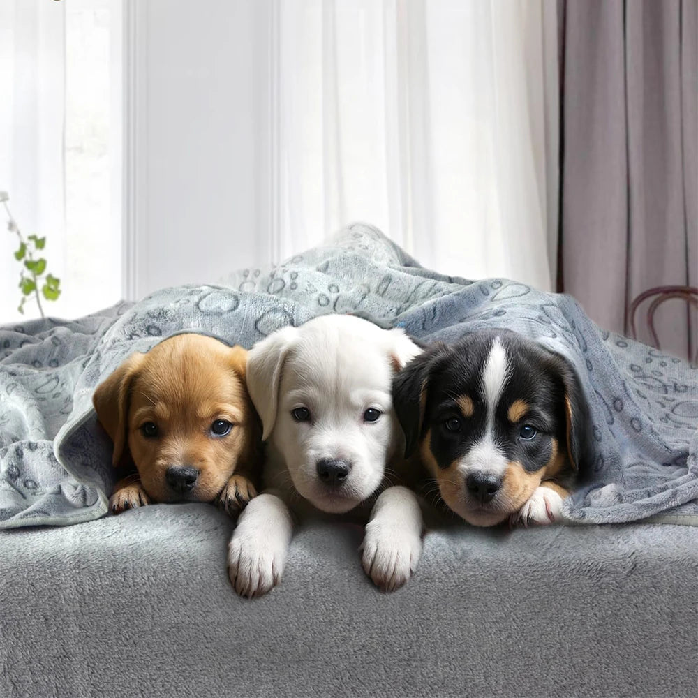 1pcs Ultra-Soft Paw Print Dog Blankets - Machine Washable, Cozy Pet Pillow Pads for Indoor & Outdoor Use - Ideal for Small to La Beauty World Shop