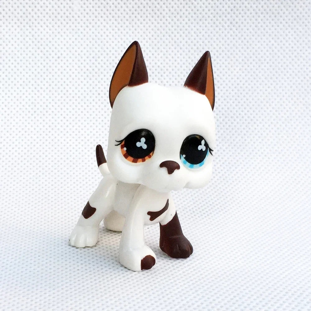 Rare pet toy Stands Short Hair Kitten Dog Dachshund Collie Spaniel Great Dane Original Bobble head toy lps Beauty World Shop