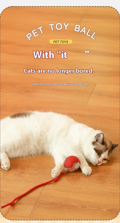 1~2Pcs Cat Interactive Ball Toys Automatic Rolling Ball Faux Tail Rechargeable Smart Pet Electric Toy Cat Training Imitate Mouse