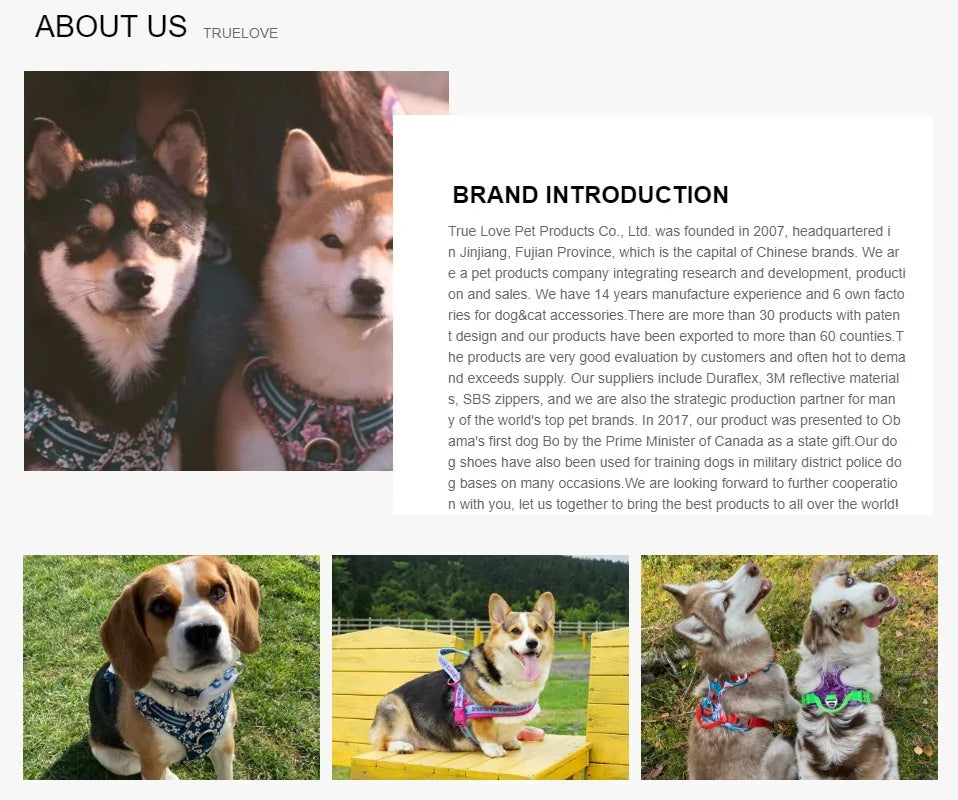 Truelove Pet Harness Small Medium Large Split Dog Fashion Outdoor Dropshipping Beauty World Shop