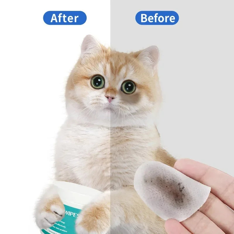 Pet Cleaning Products Eye Wipes To Remove Tear Marks Cleaning Wet Tissues Cat Wiping Eyes Removing Tear Marks and Cleaning Pet Beauty World Shop