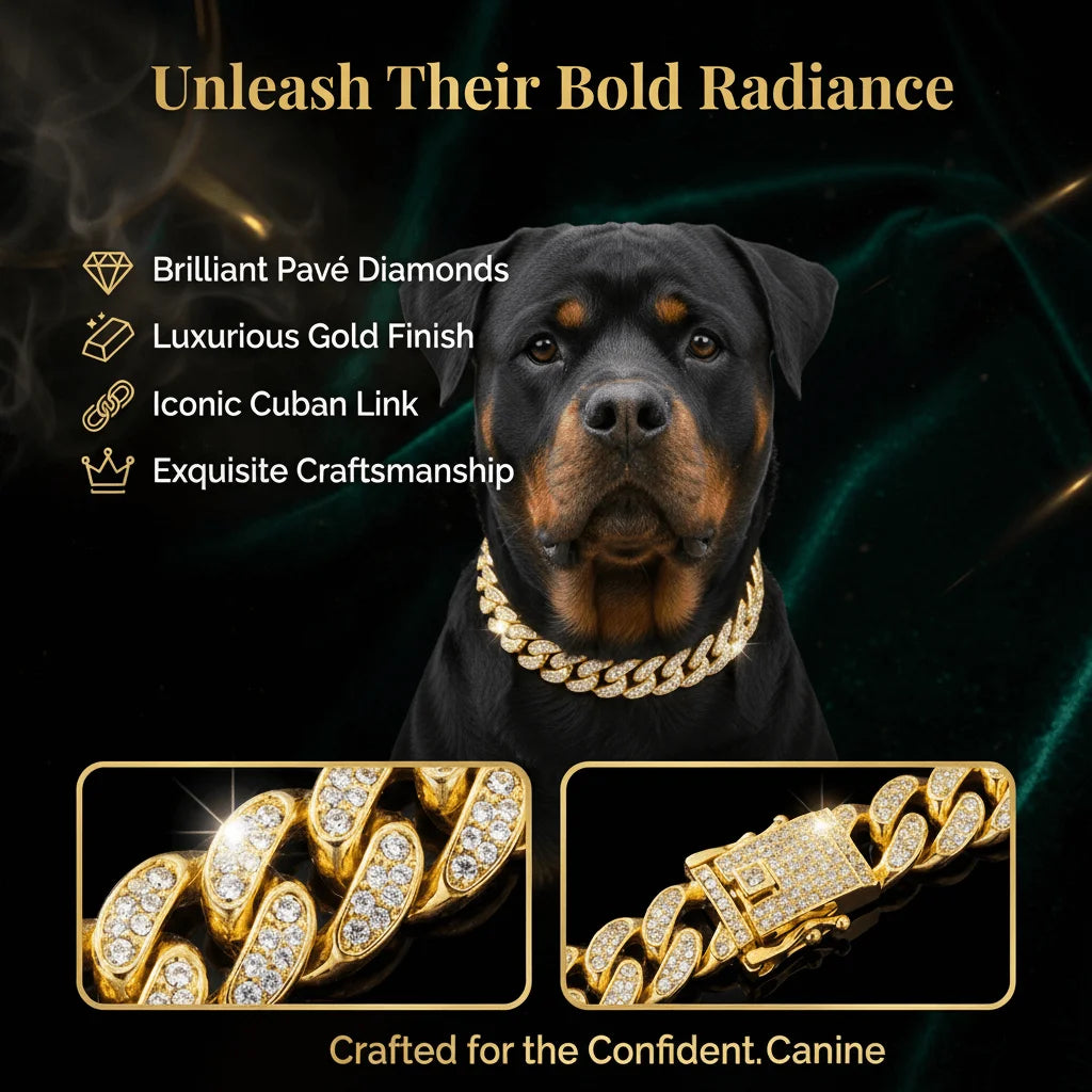 Luxury Hip Hop Dog Collar, Gold Tone Stainless Steel Cuban Chain, Durable Diamond Inlaid Pet Jewelry for Daily Walking Beauty World Shop