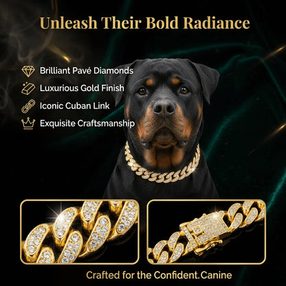 Luxury Hip Hop Dog Collar, Gold Tone Stainless Steel Cuban Chain, Durable Diamond Inlaid Pet Jewelry for Daily Walking Beauty World Shop
