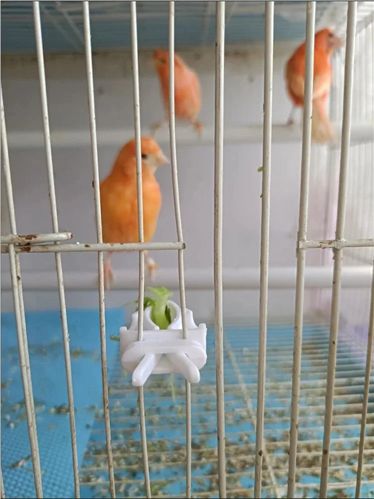 Cute Small Pet Bird Food Holder Parrot Fruits Vegetables Clip Cuttlefish Bone Feeder Device Clamp Bird Cage Accessories Oiseaux Beauty World Shop