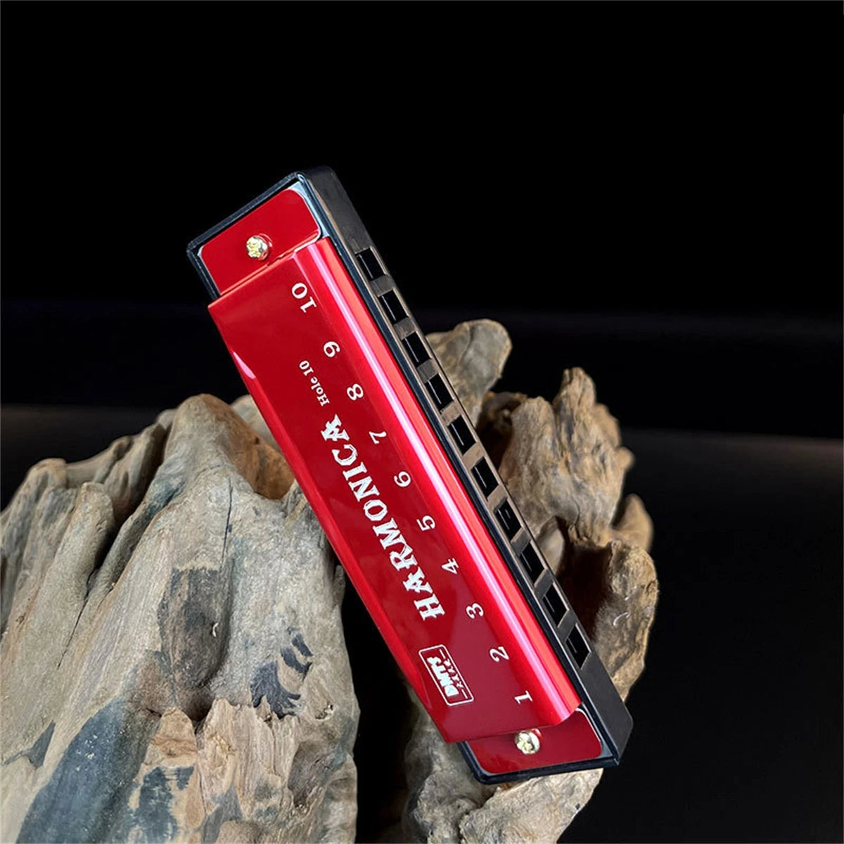 Harmonica Key of C 10 Hole Diatonic Harmonica C with Case for Beginner Students Kids Gift with Case Beauty World Shop