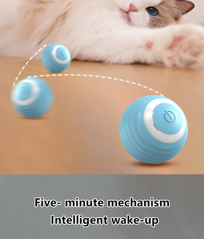 Spin Ball Things for Cats Toys Electric Interactive USB Charging Cat Ball Toy Cat and Dog Accessories Pet Cat's Supplies Home Beauty World Shop