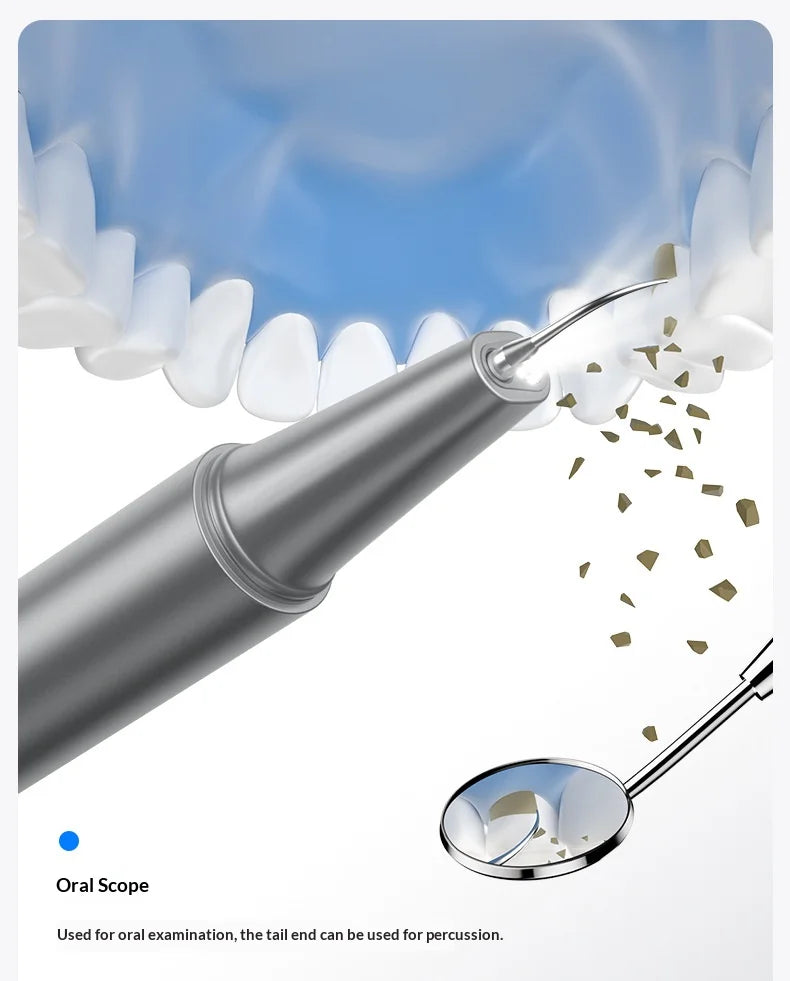 HOMEFISH Home Dental Cleaning Device Professional Tool for Removing Tartar Plaque And Calculus with Visual Technology Beauty World Shop