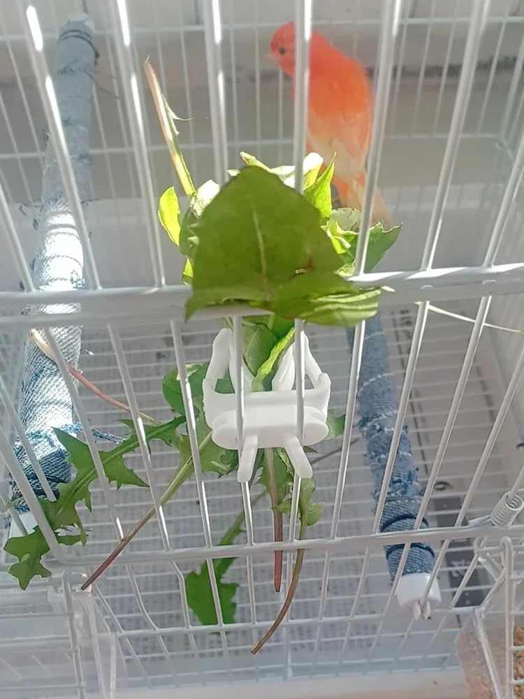Cute Small Pet Bird Food Holder Parrot Fruits Vegetables Clip Cuttlefish Bone Feeder Device Clamp Bird Cage Accessories Oiseaux Beauty World Shop