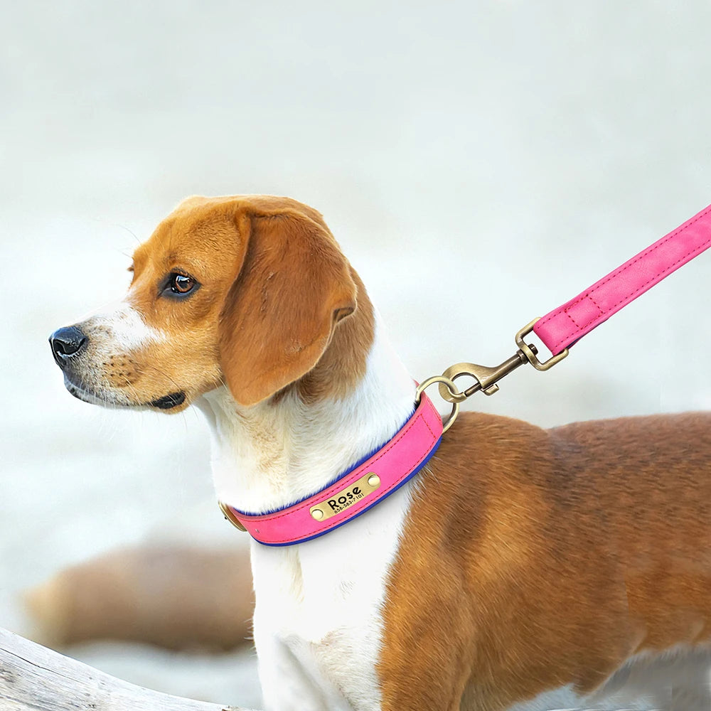 Customized Leather Dog Collar Leash Set Soft Padded Leather Collar For Small Medium Large Dogs With Free Engraved Nameplate Beauty World Shop