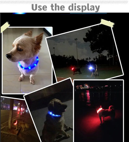 New Led Luminous Dog Collar PVC Waterproof , For Large Medium Small Dogs Collar Usb Light Night Safety Pet Glowing Accessories Beauty World Shop