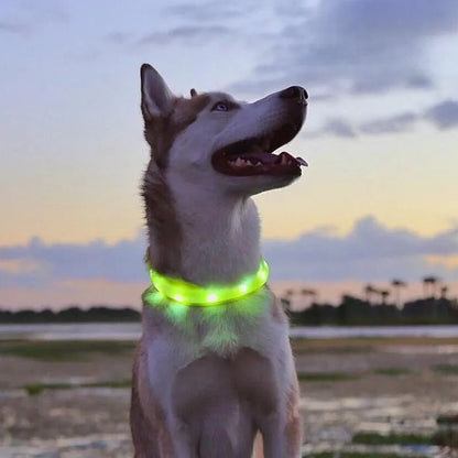 New Led Luminous Dog Collar PVC Waterproof , For Large Medium Small Dogs Collar Usb Light Night Safety Pet Glowing Accessories Beauty World Shop