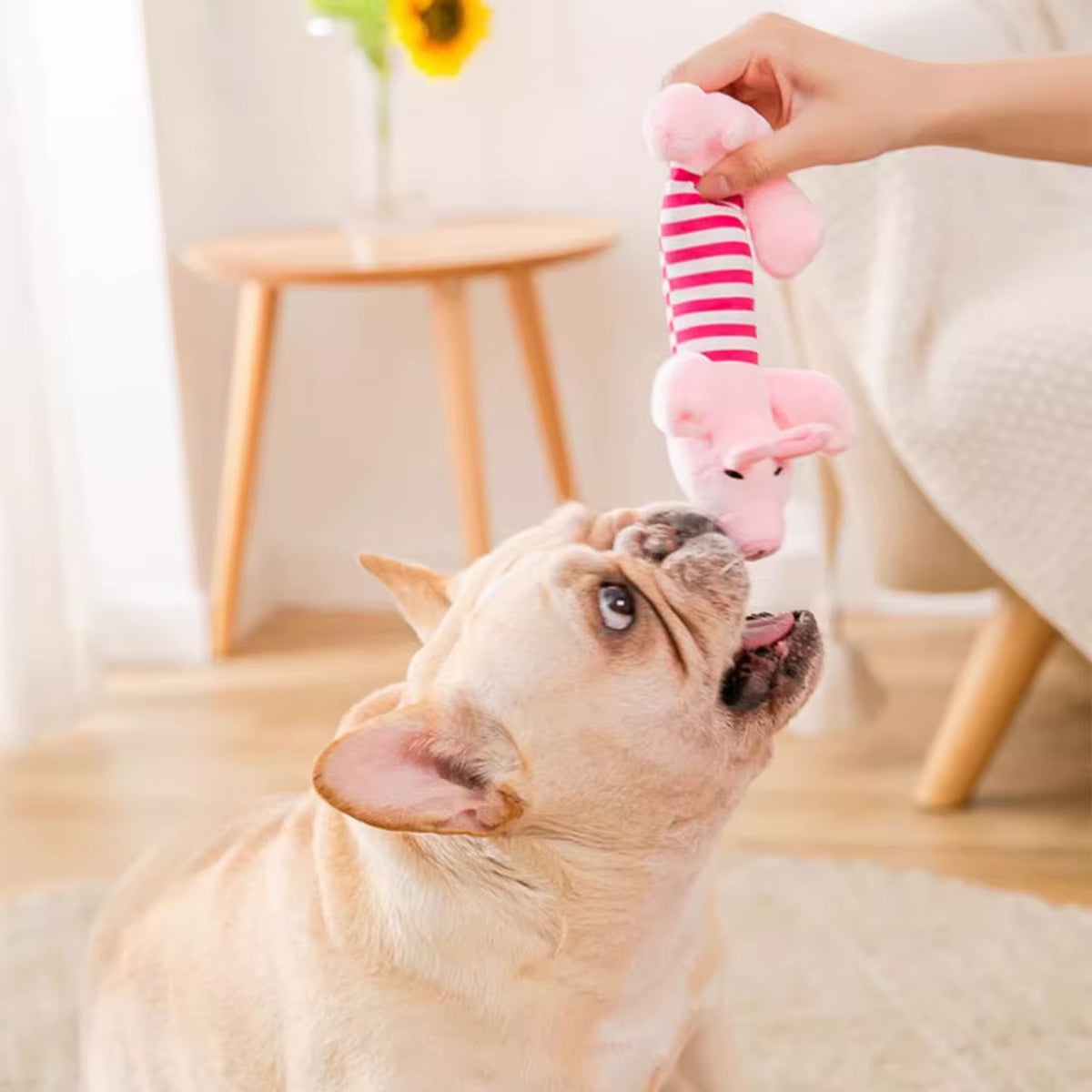 3/1Pack Animal Squeaky Toys for Dogs (Elephant/Duck/Pig) - Durable Chew Toys for Aggressive Chewers with Teeth Cleaning