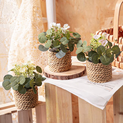 Green Artificial Plants Eucalyptus Flowers Woven Small Potted Plants Grass Mound 11Cm PE Material Home Decoration