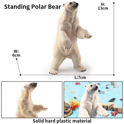 Arctic South Pole Animals Simulation Polar Bear Ursus Maritimus Action Figures Solid PVC Model Figurine Kid Toy Gift