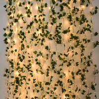 2M 20Led