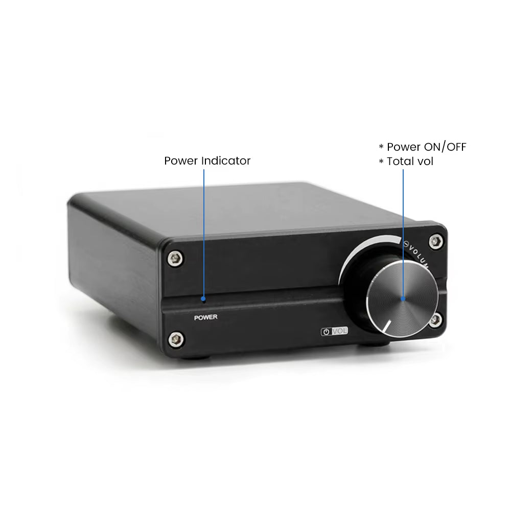 100W TPA3116 Subwoofer Amplifier Class D Mini Power Amplifier Audio Amplificador Mono Amp for Home Passive Speaker