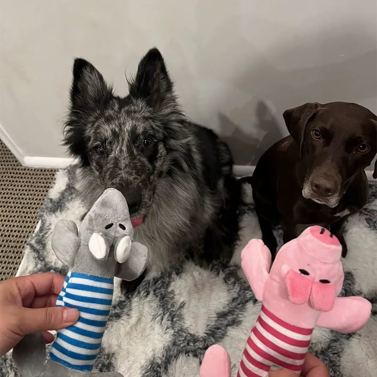 3/1Pack Animal Squeaky Toys for Dogs (Elephant/Duck/Pig) - Durable Chew Toys for Aggressive Chewers with Teeth Cleaning